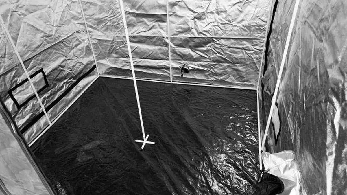 Namiot do uprawy roślin, Caluma 200x200x200, growbox