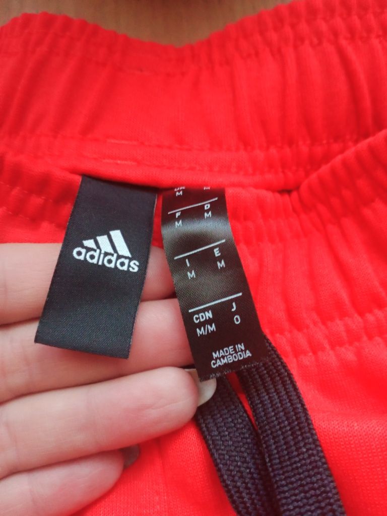 Spodenki męskie Adidas