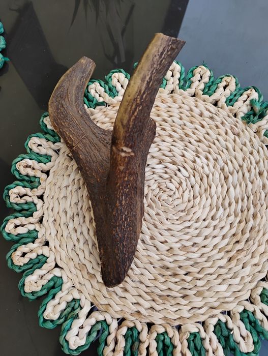 Mienic poroże jelenia wieszak