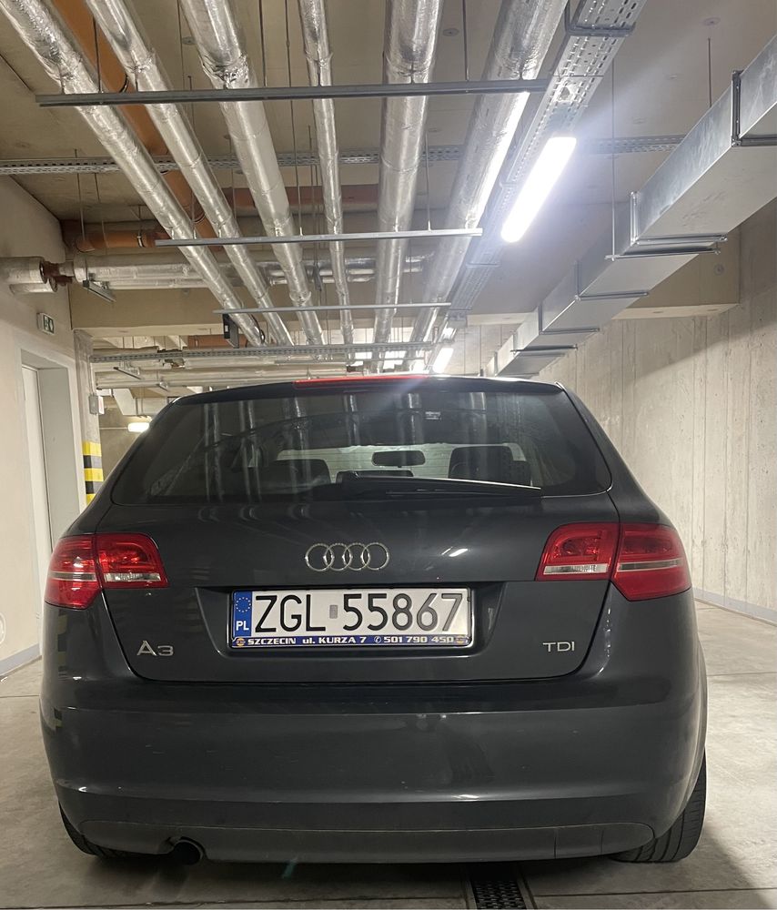 Audi A3 8P 1.6TDI 2010