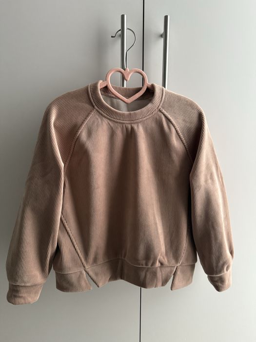 Костюм плюш велюр світшот штани