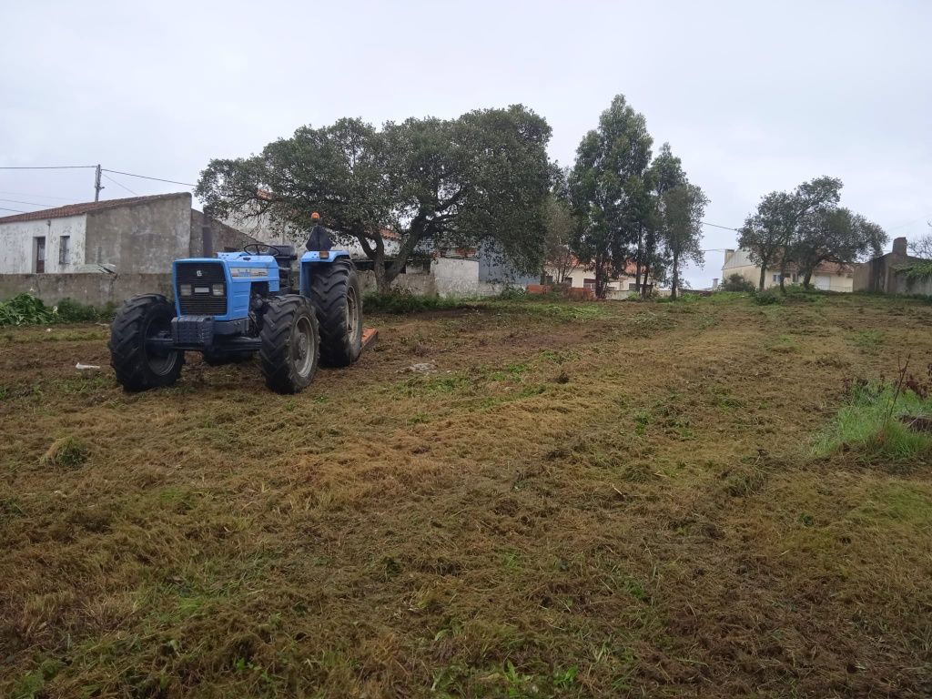 Limpeza de terreno corte árvore