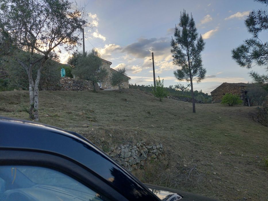 Limpeza  de terrenos