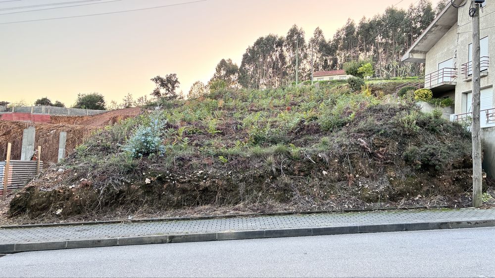 Terreno Crestuma / Rua do Fioso