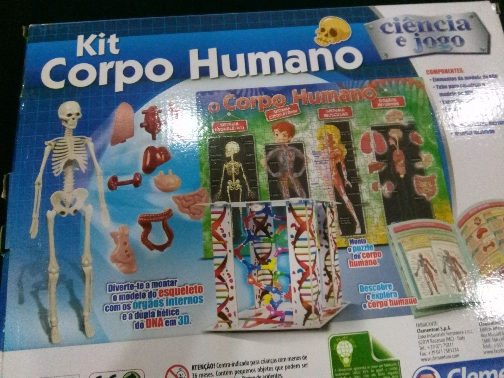 Kit corpo humano