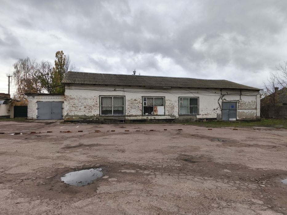 Здам в оренду.Дешево.