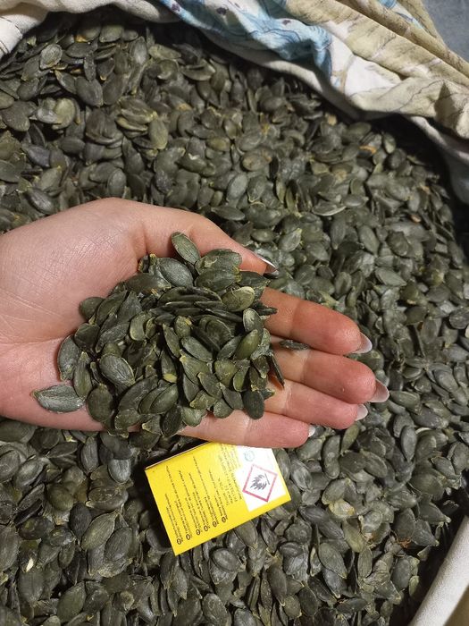 Насіння гарбуза голе харчове