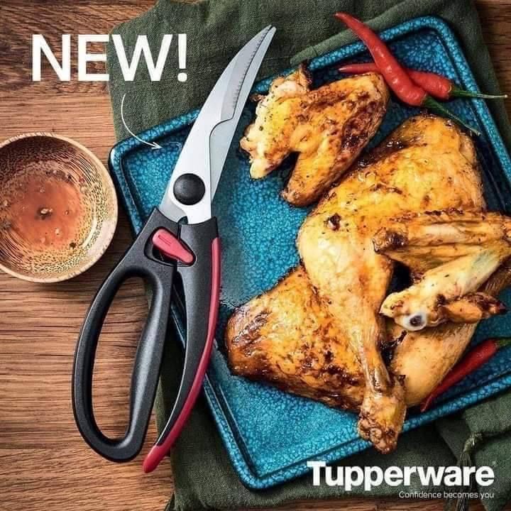 Tesoura das Aves tupperware