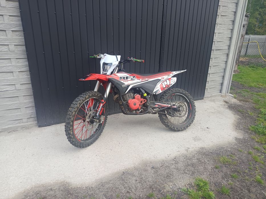 Apollo Lizard RFZ 300