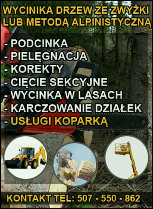 wycinka podcinka drzew Trudnych -malowanie dachów -mulczer