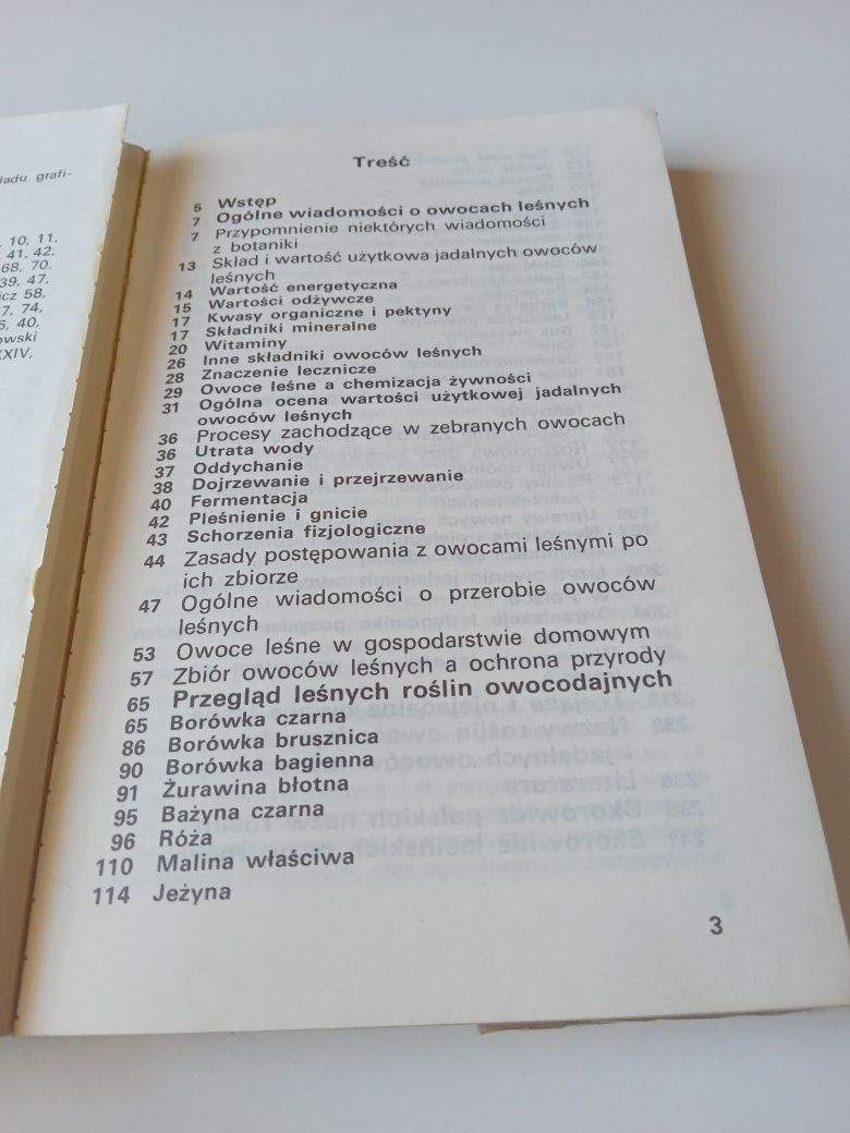 Jadalne owoce leśne - Wiesław Grochowski