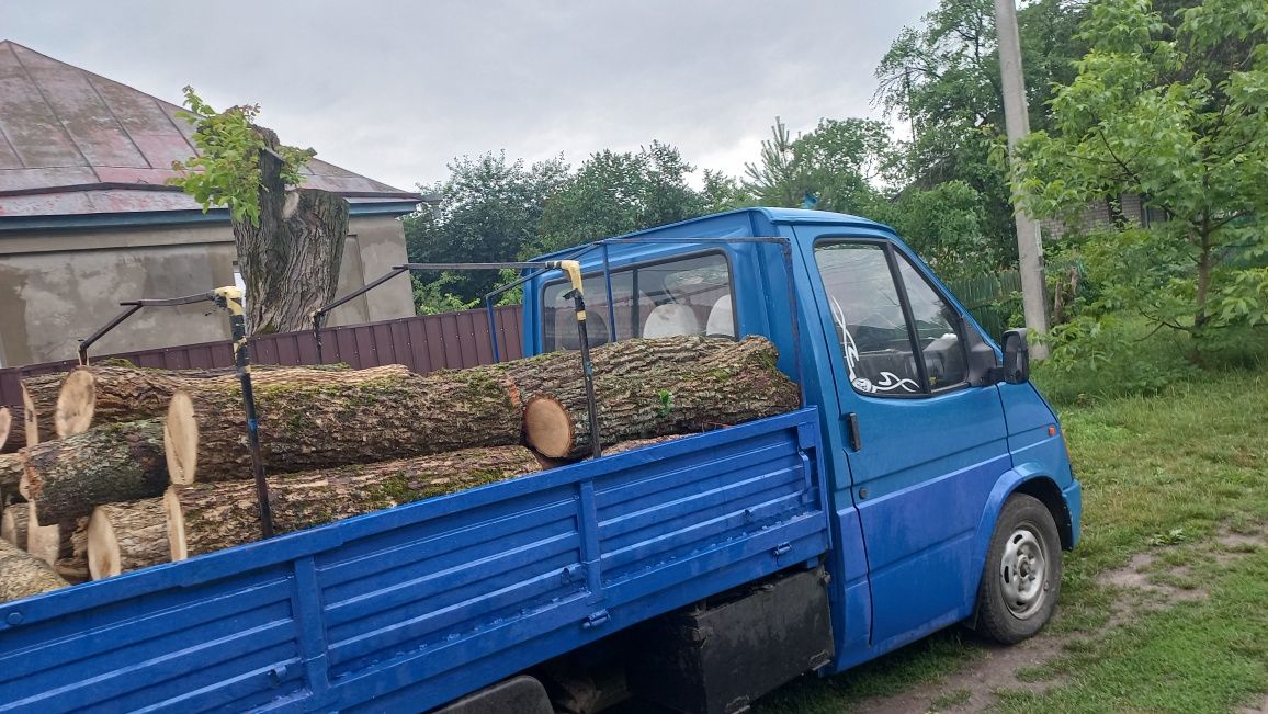 Продам дрова твердих та соснових  порід