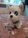 Happy husky piesek interaktywny chi chi love