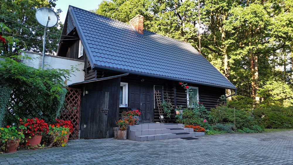 Domek w środku lasu! Na wynajem!