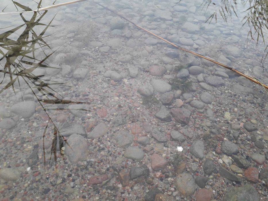 Noclegi długoterminowe Giewartów i okolice