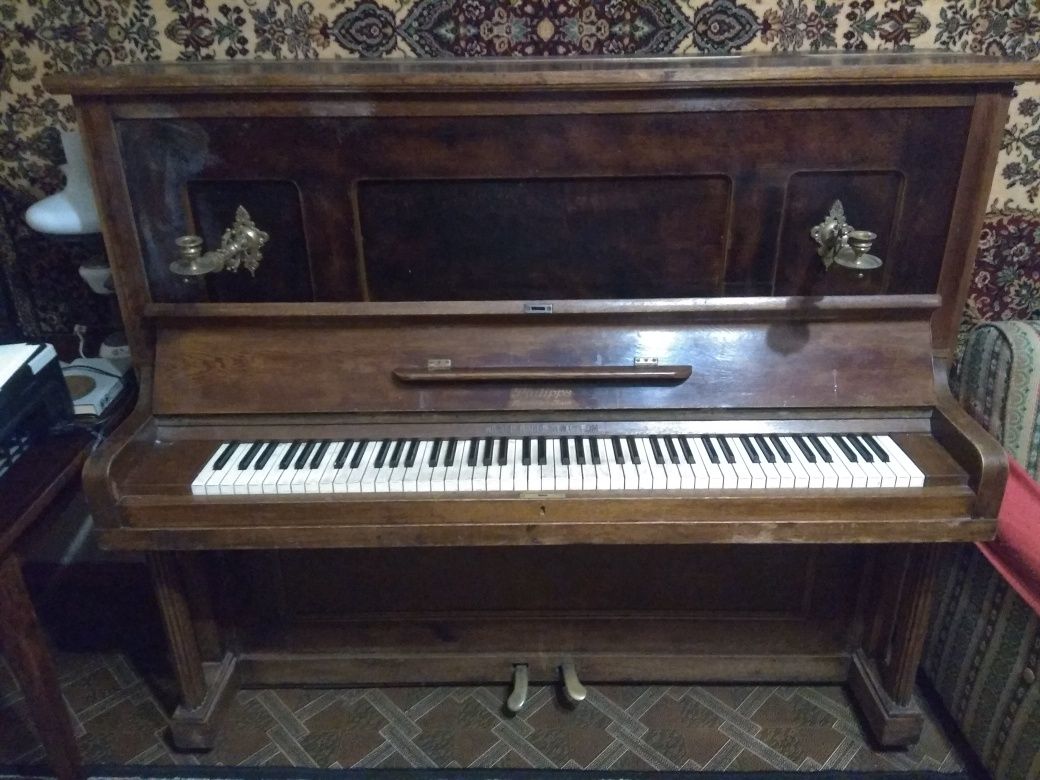 Пианино Philipps