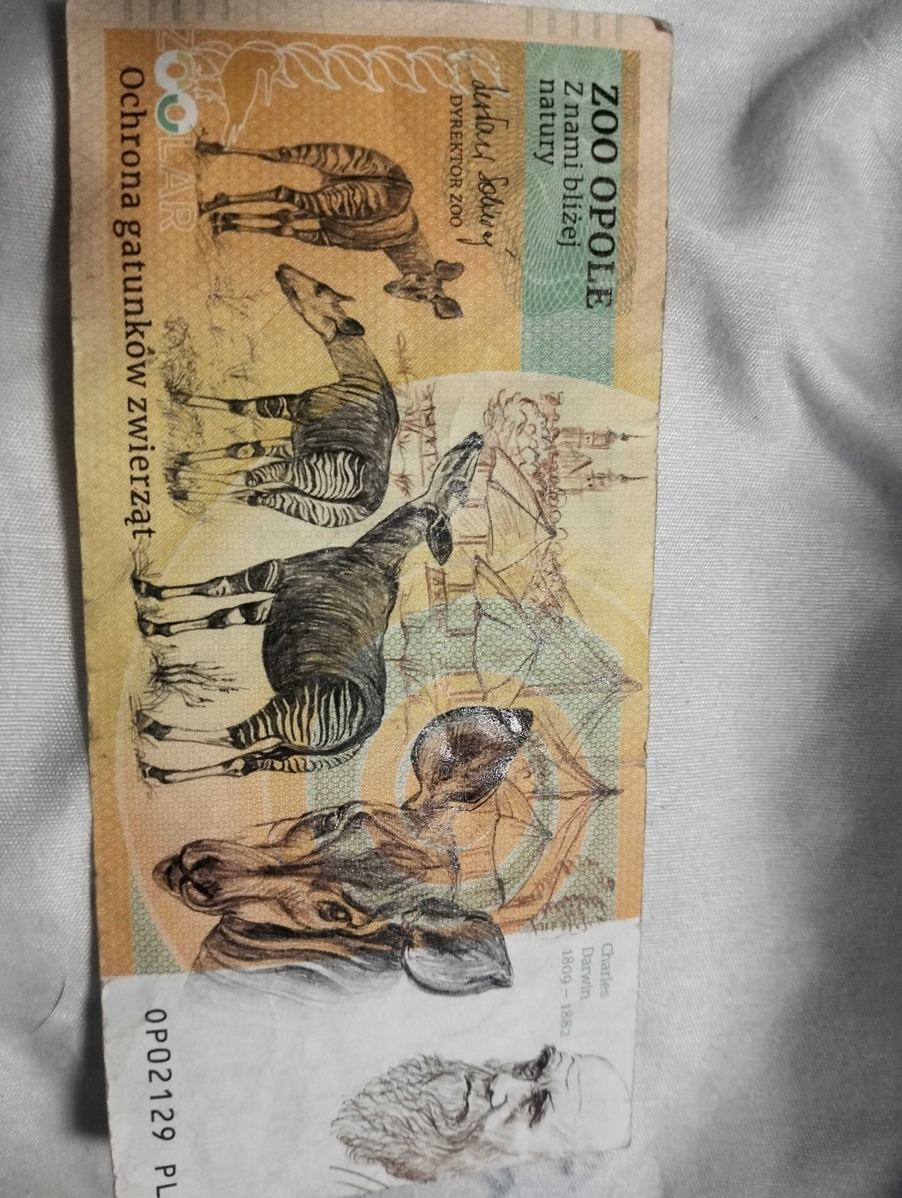 Pamiątkowy banknot