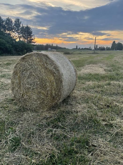 Sprzedam SŁOMĘ!!!