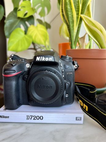Nikon d7200 Sigma 17-50 f2.8