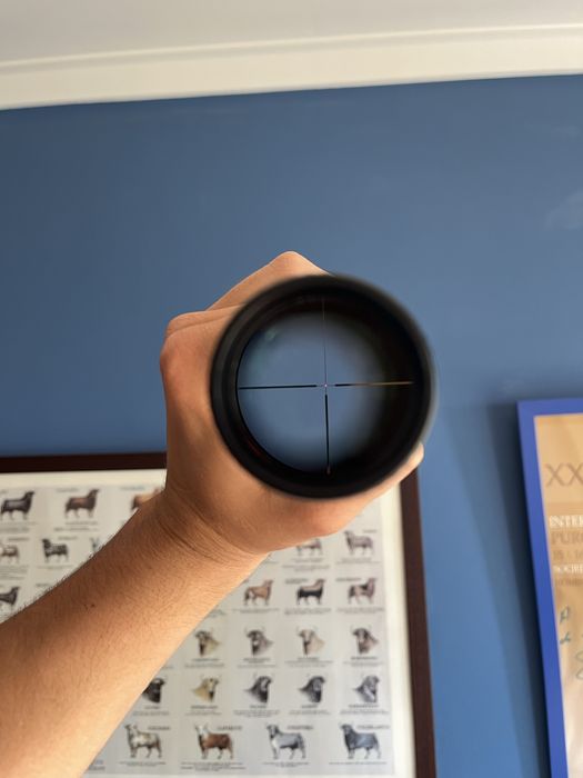 Mira de batida 1-8x24 professor Optiken