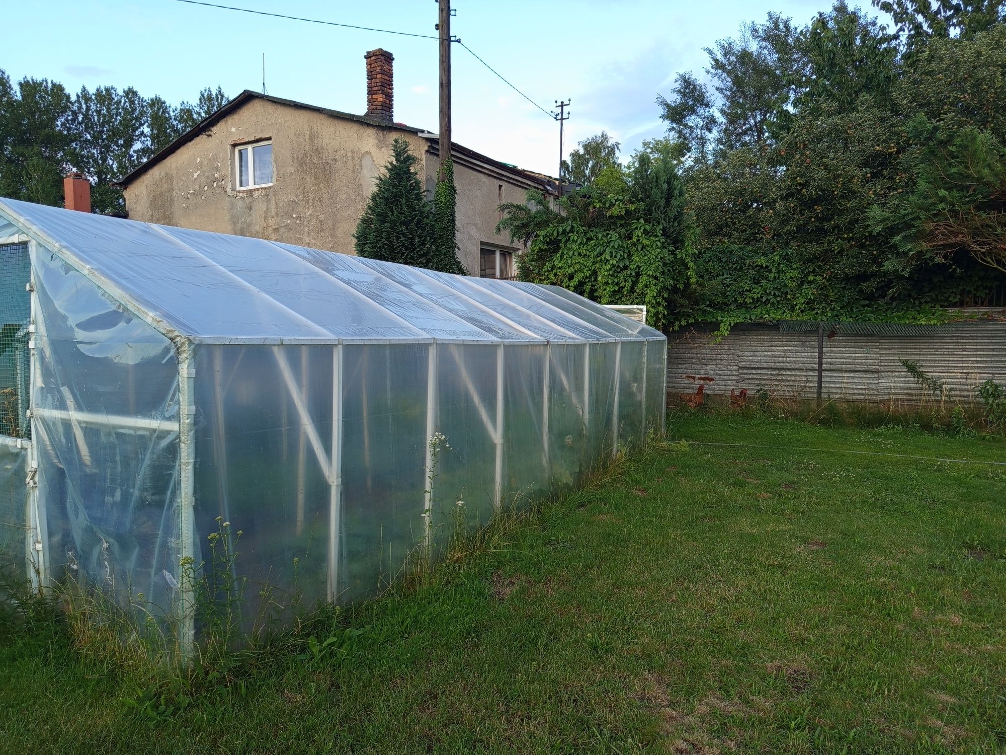 Tunel foliowy 287/620
