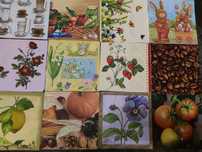 Zestaw serwetek do decoupage 15 sztuk