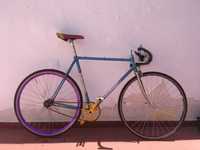 Splendor Criquielion - Fixed Gear/Single Speed