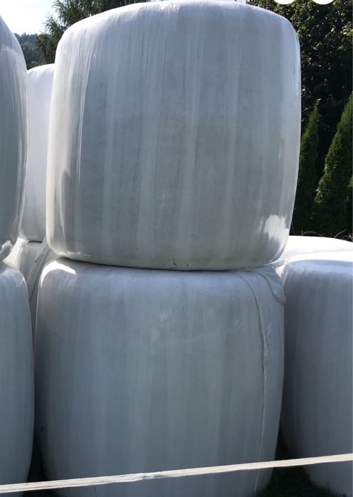 Bale siana tegoroczne