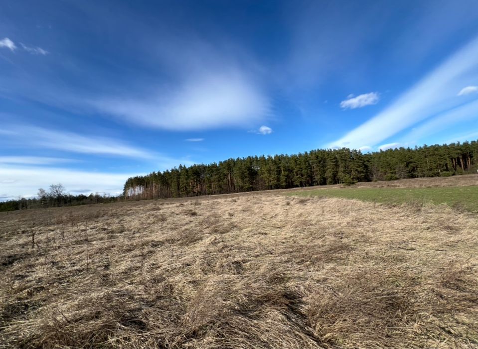 Ділянка під лісом в Микуличі
