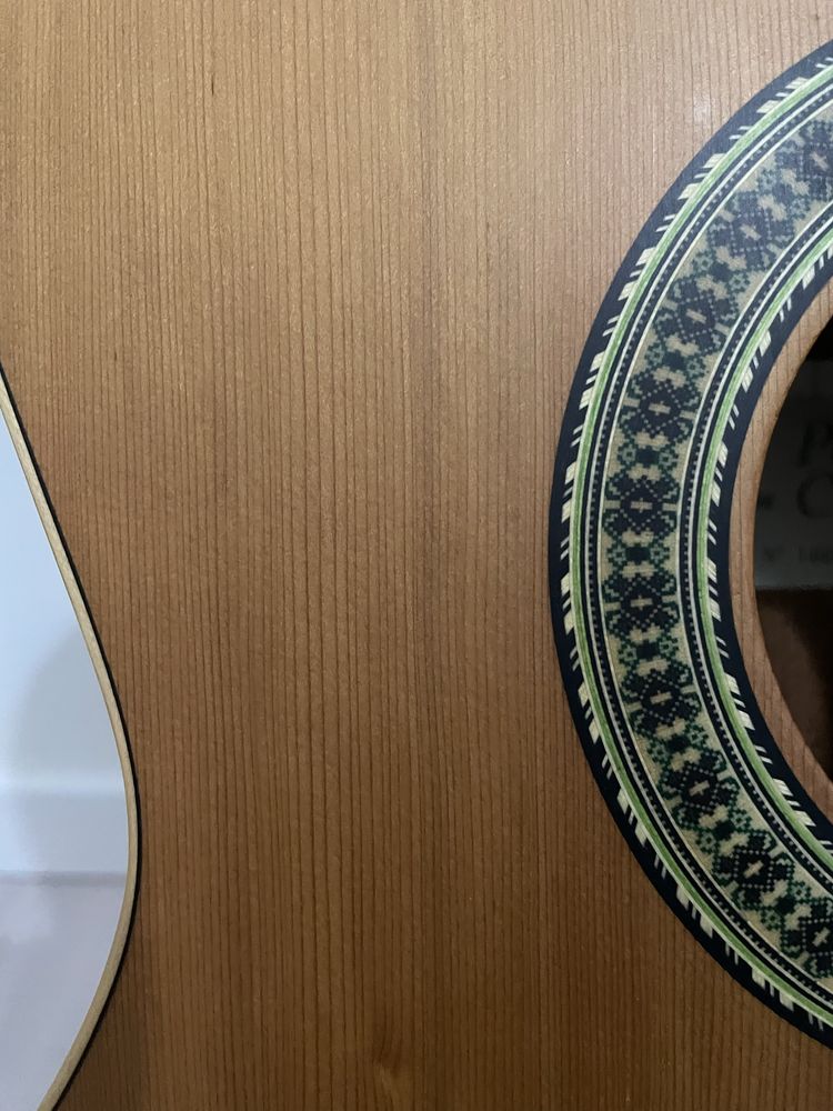 Guitarra Paco Castillo Mate mod. 201