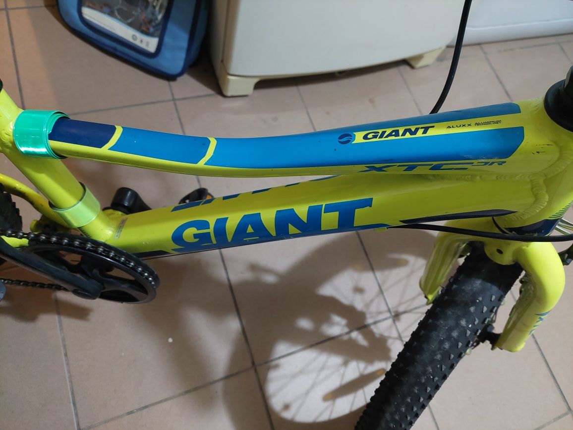 Rower  firmy Giant 16