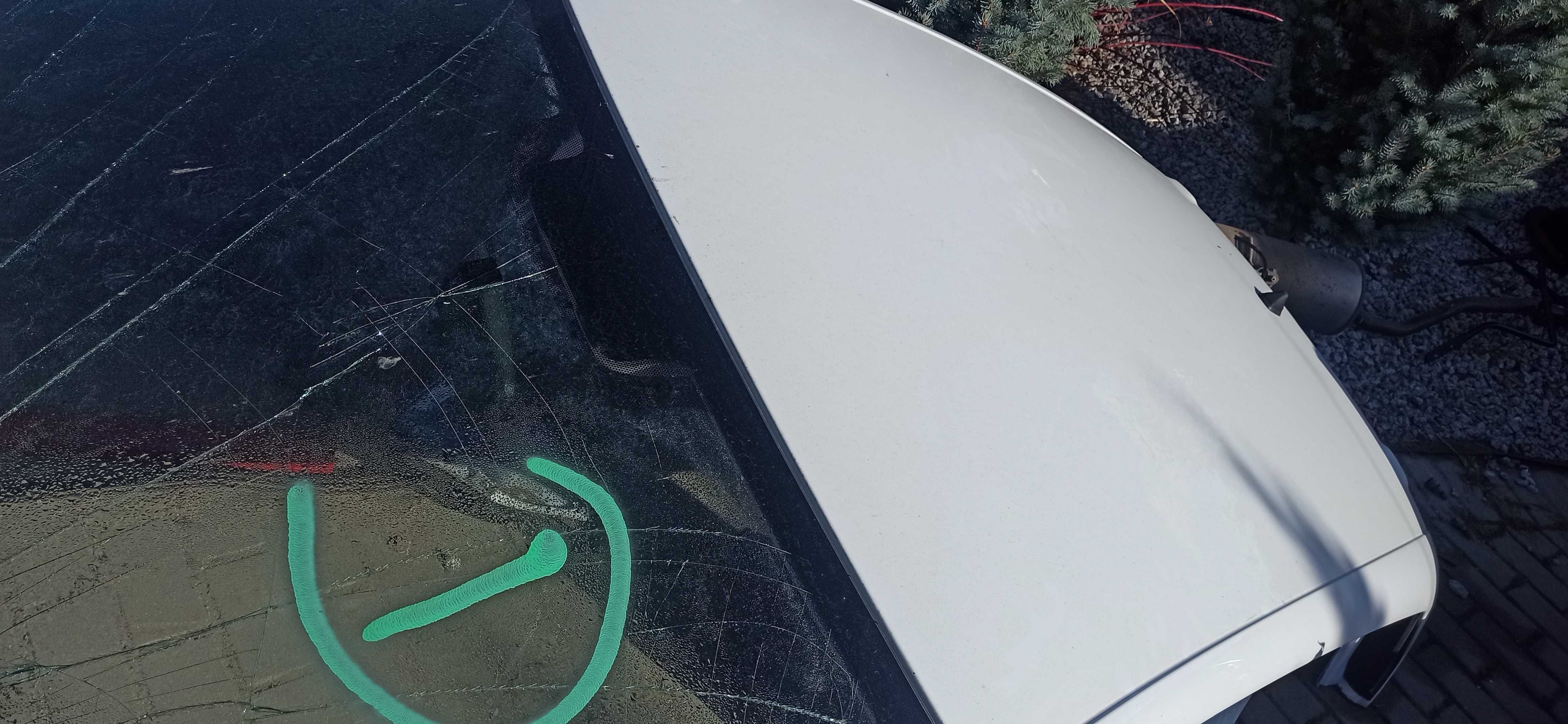 Renault Clio IV dach