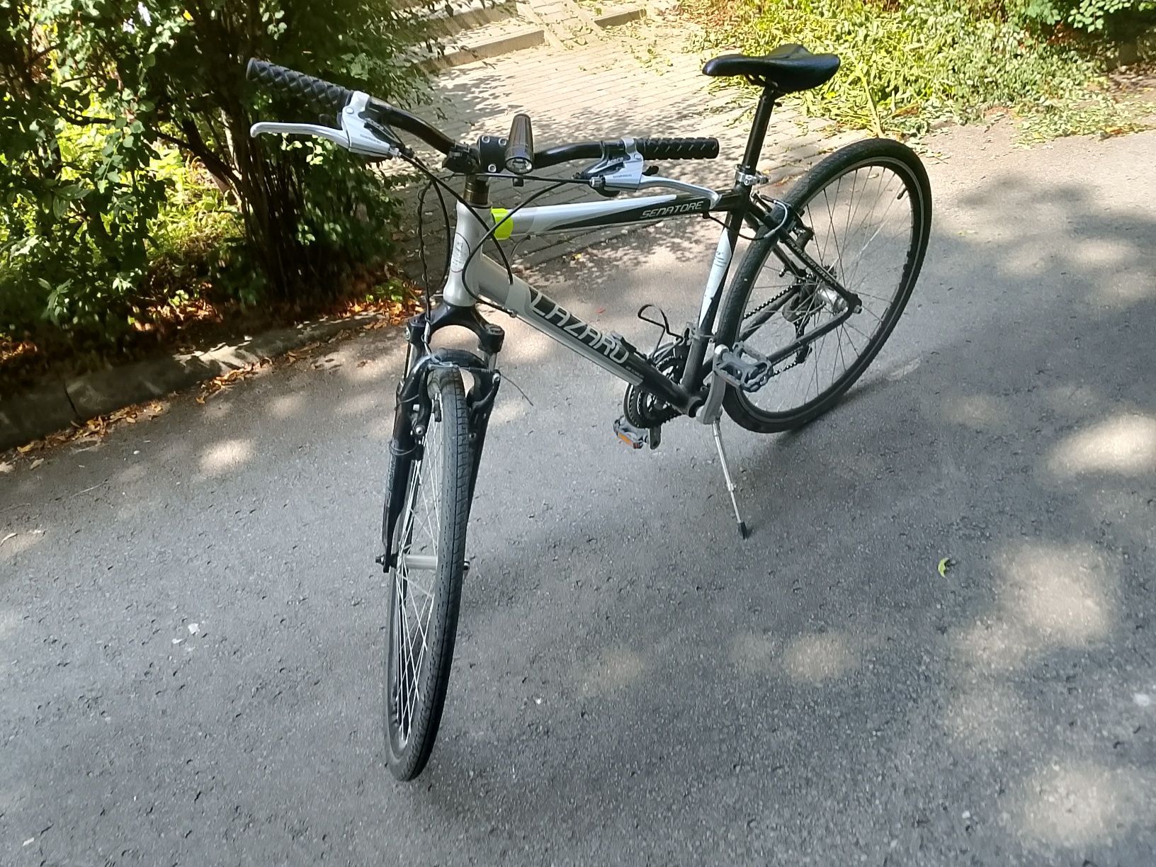 Rower męski Lazzaro Senatore V