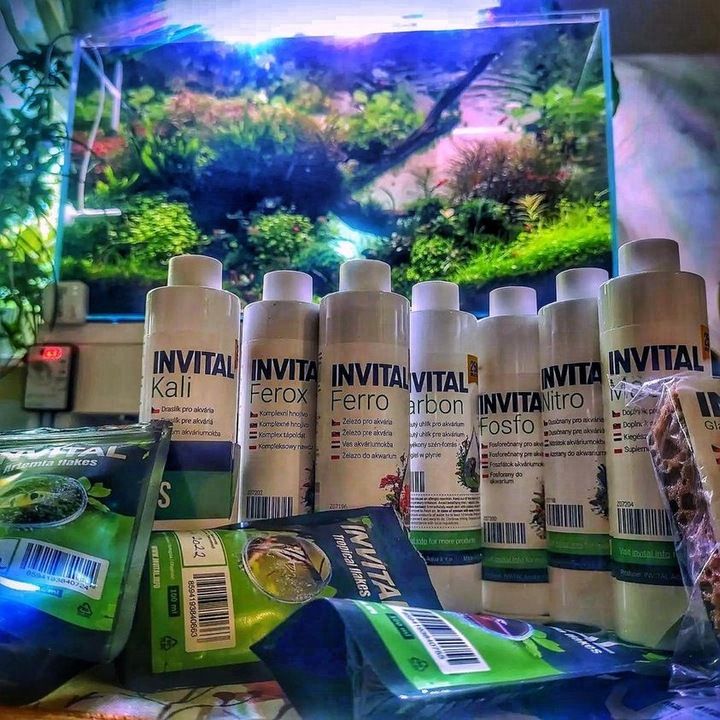 Invital Macro 500 Ml