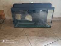 Akwarium/paludarium 40l