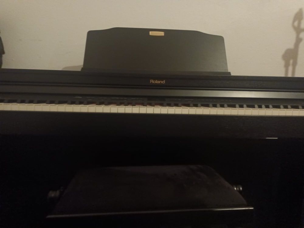 Piano Roland hp504