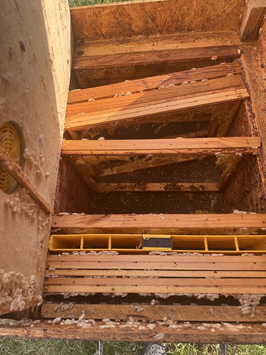 Ul typu dadant z powałkami komplet