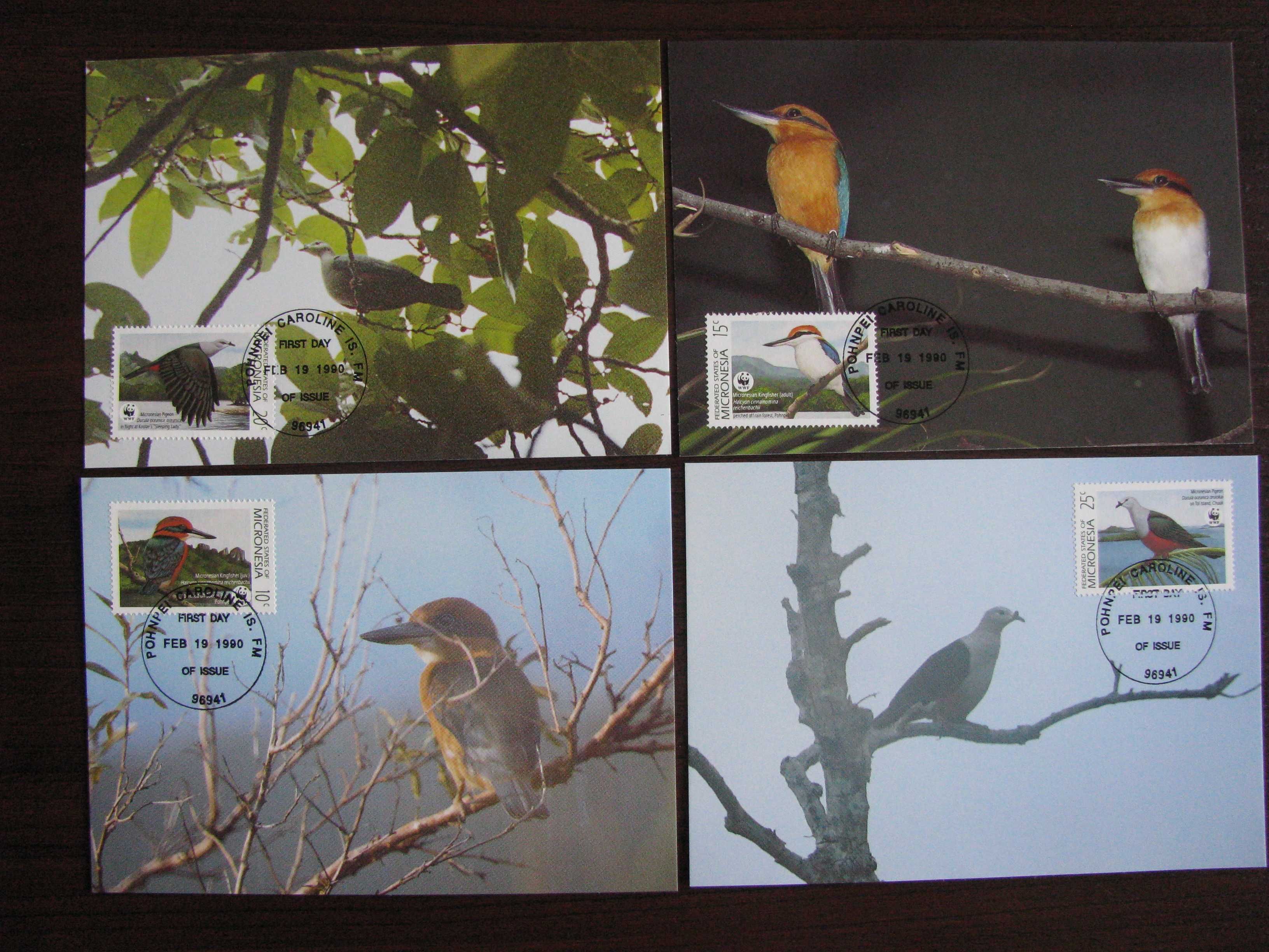 Mikronezja -Maxim karty-Ptaki, zimorodek -WWF