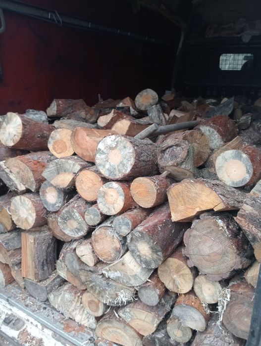 Drzewo opałowe sosnowe