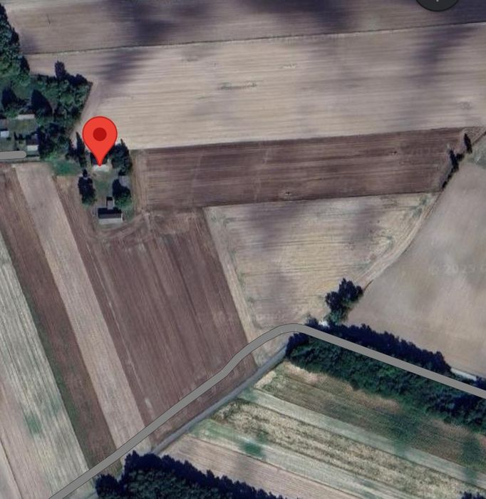 Wyjątkowe gospodarstwo rolne nieopodal lasu