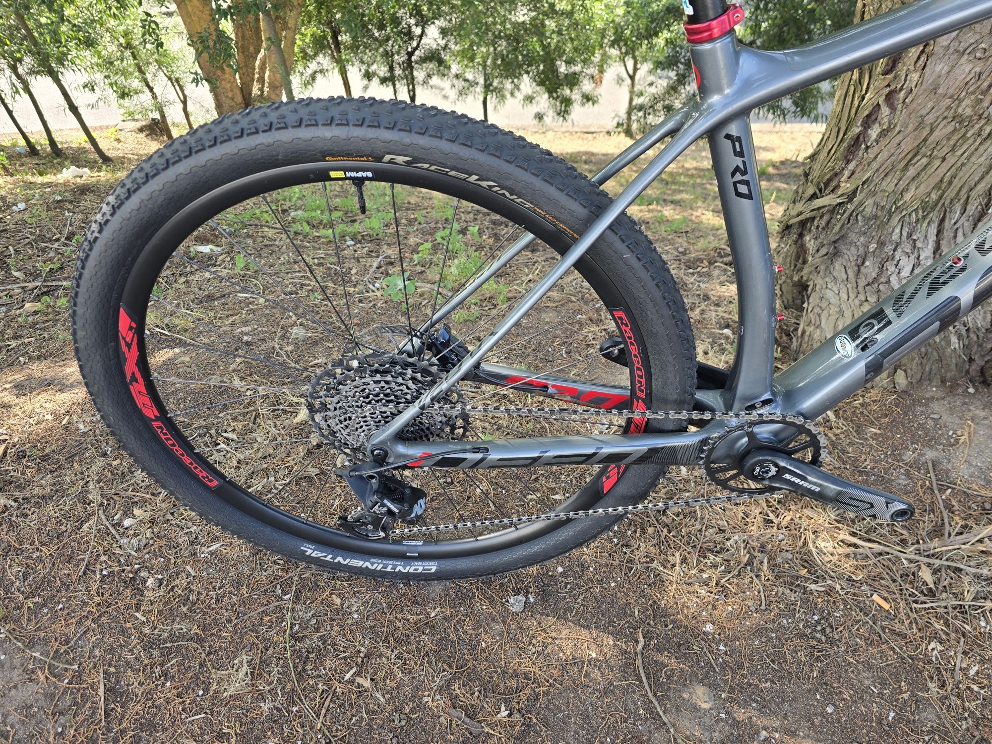 Btt carbono L 12x1v 29