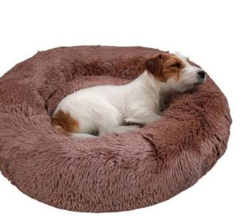 Promoção camas anti stress cães e gatos