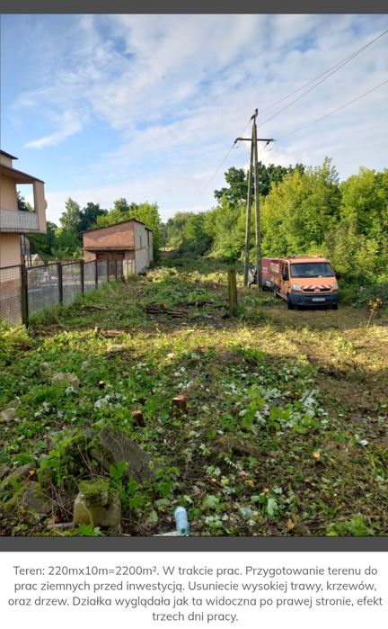 Koszenie trawy, Wycinka drzew