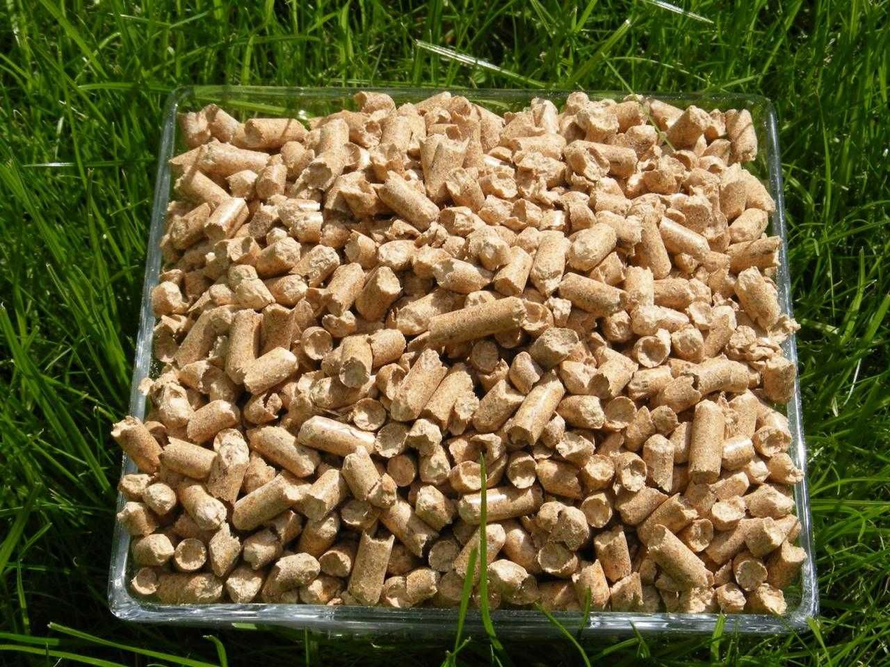 pellet NAJTAŃSZY pellet drzewny oraz Feniks Olczyk LAVA Gratis A2 a1