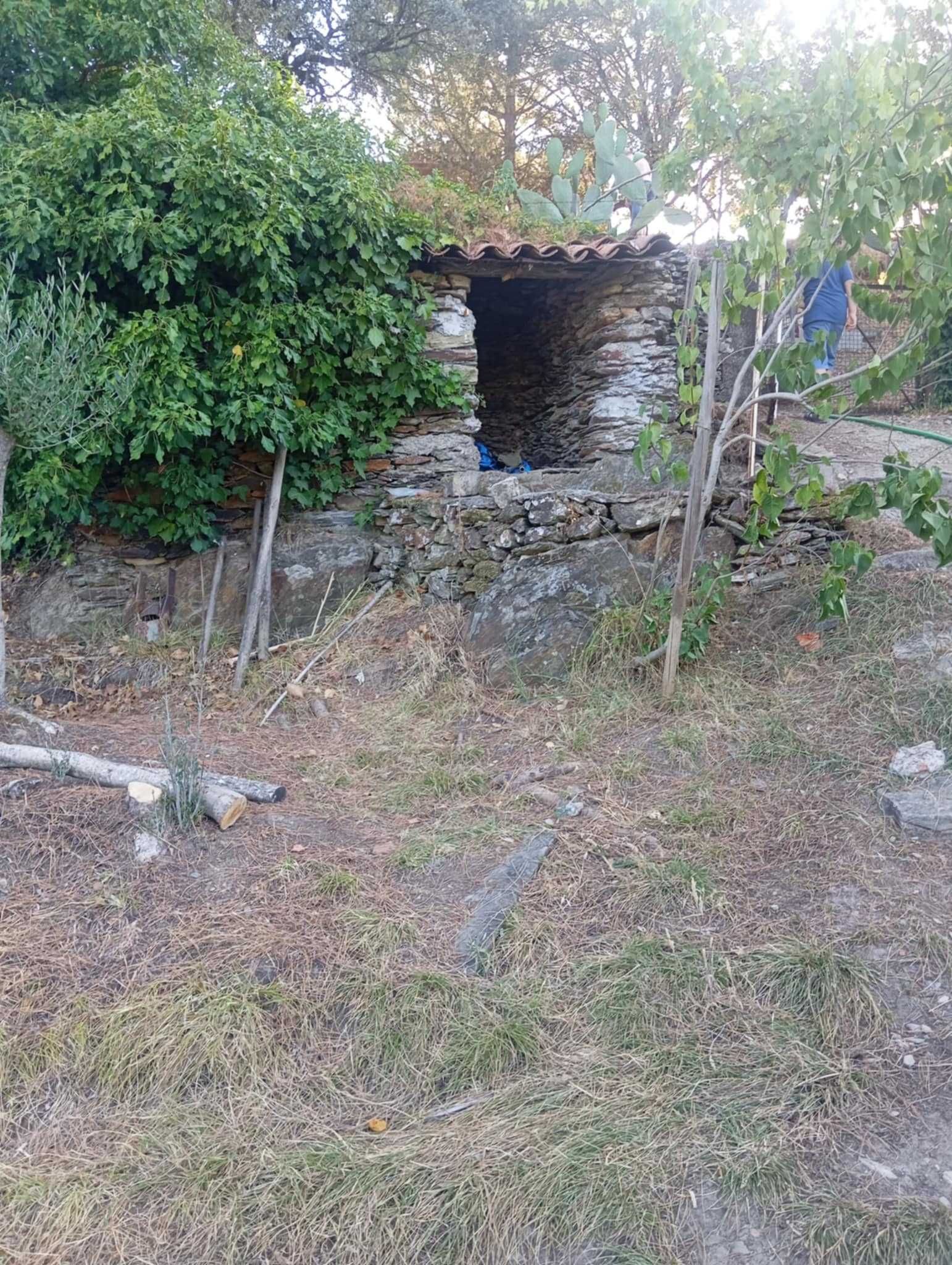 Vendo quintinha com muitas arvores e muita água perto Castelo Branco