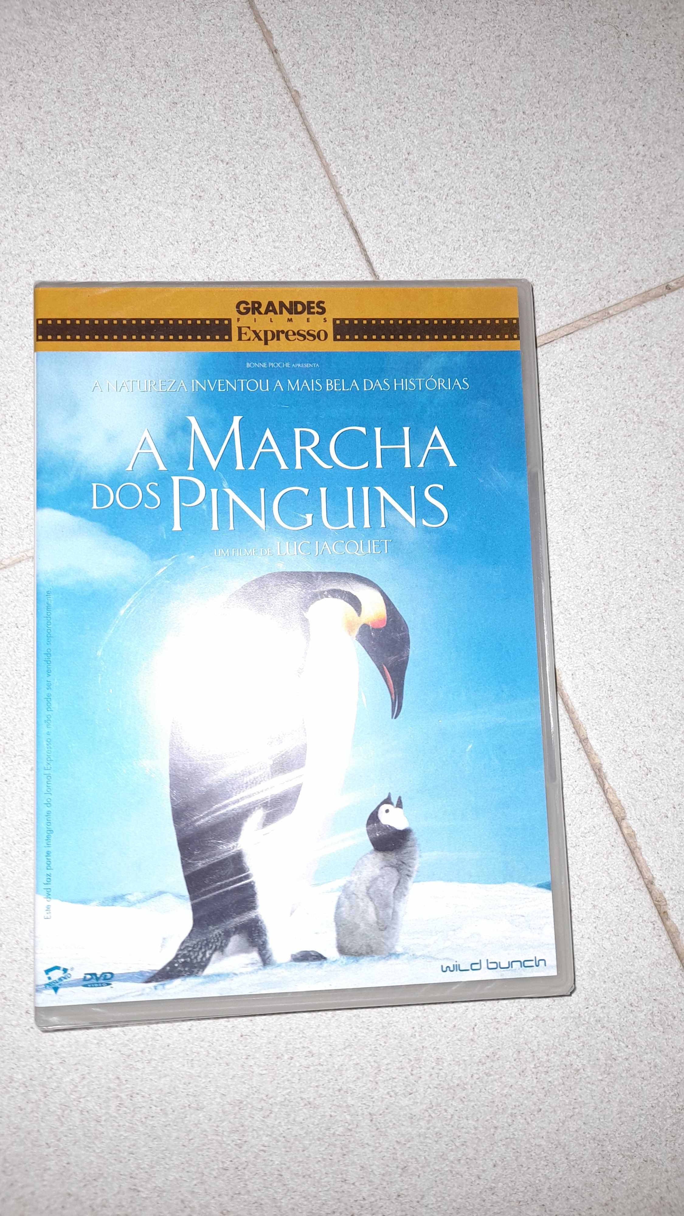 DVD Original A Marcha dos Pinguins Expresso No Plastico