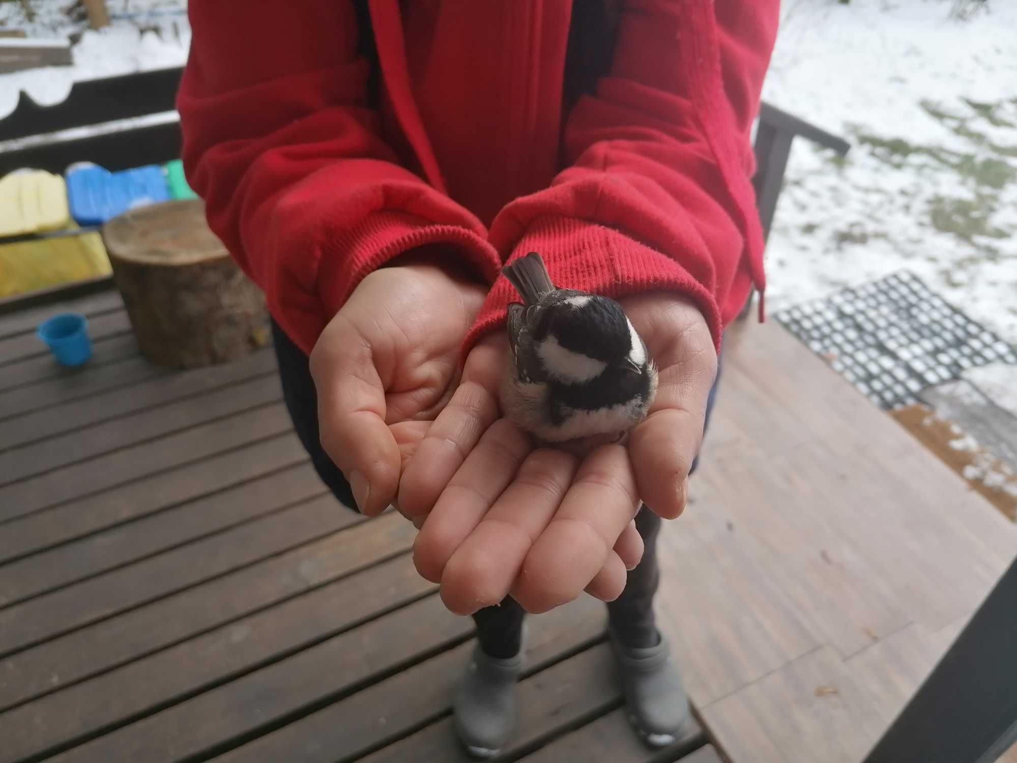 Domek Mazury pierwsza linia brzegowa
