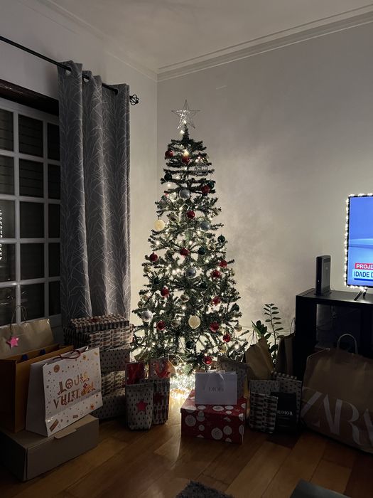 Arvore de Natal 2,20m