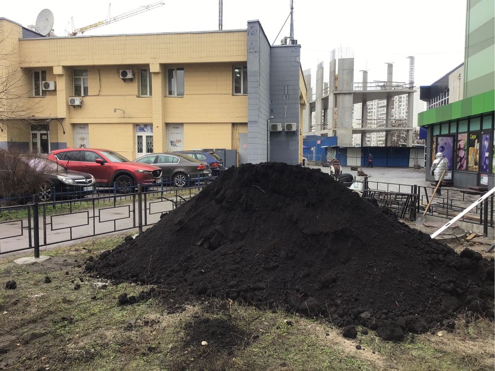Чорнозем родючий, торф