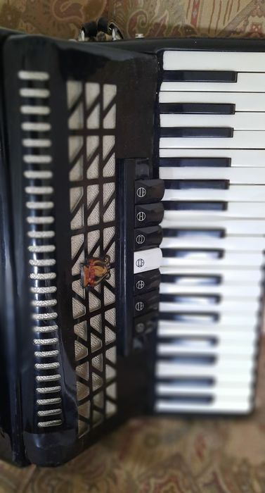 Acordeão marca Parrot